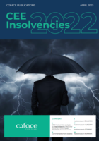 Download our full CEE insolvencies study